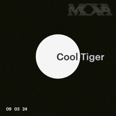 Cool Tiger at Mova | 09 03 2024