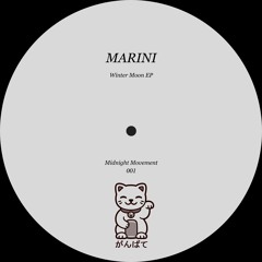 PREMIERE: Marini - Night Groove [Midnight Movement]