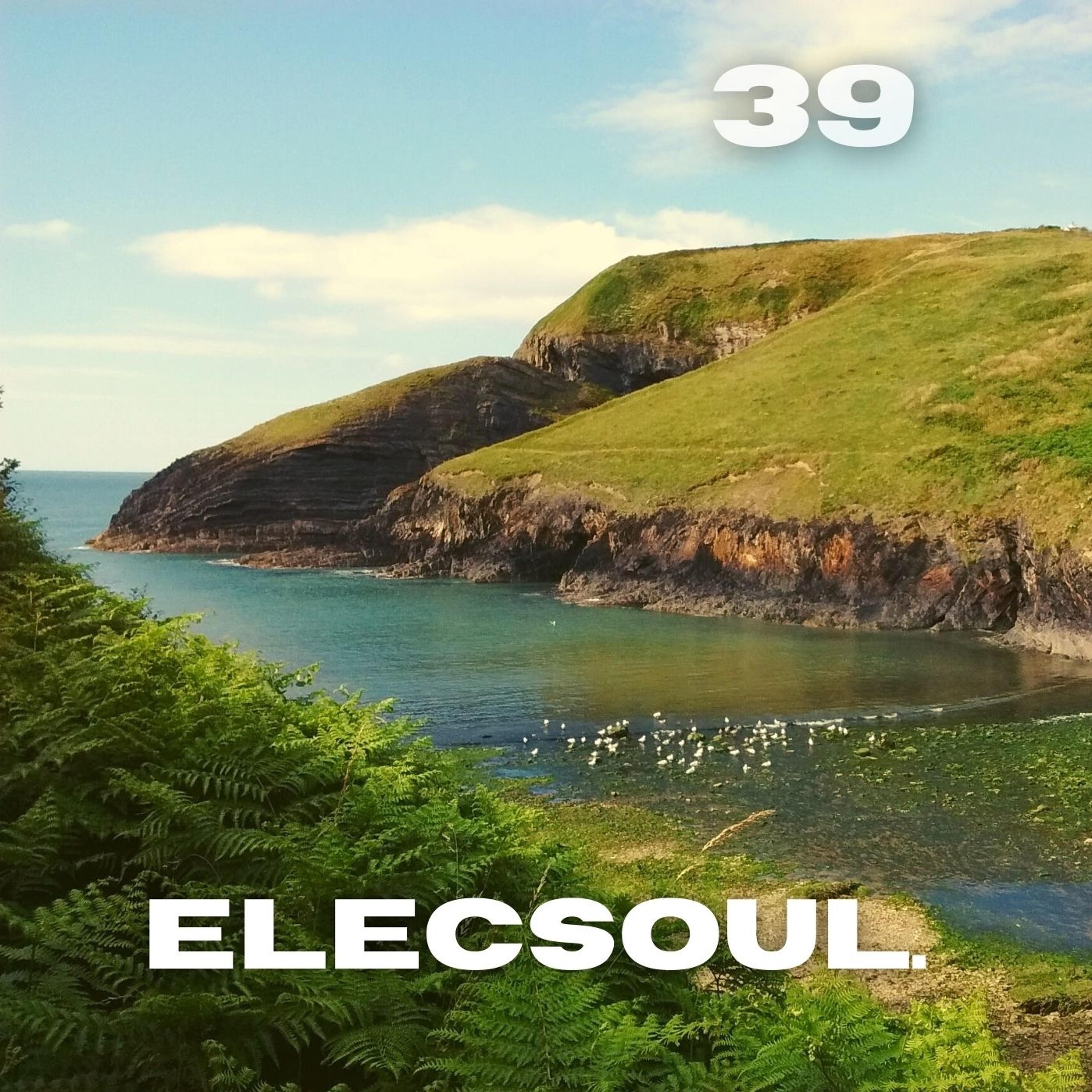 ElecSoul