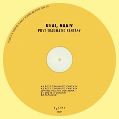 PREMIERE: UNAI, NAAiV - She Is A Corsair [SOL004]