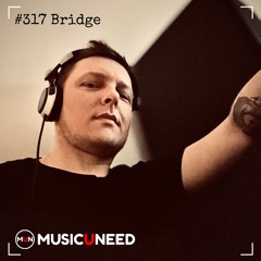 #317 Bridge