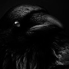 Raven