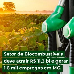 Setor de Biocombustíveis deve atrair R$ 11,3 bi e gerar 1,6 mil empregos em MG