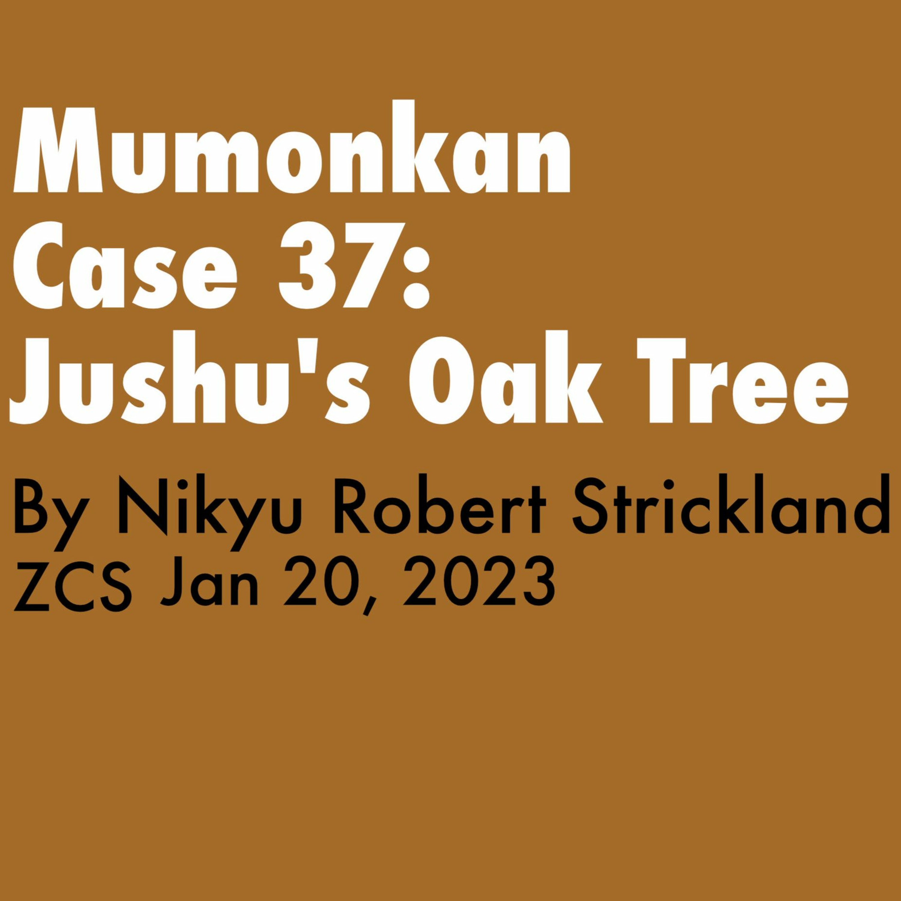 Mumonkan Case 37: Jushu's Oak Tree, Dharma Talk by Nikyu Robert Strickland, 2023.1.20