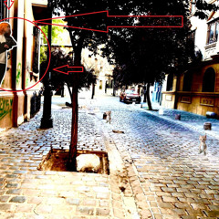 Brainrot ( ◡́.◡̀(^◡