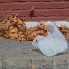 Kelvin Belton - Thomas Newman (from the 'plastic bag scene' edit)