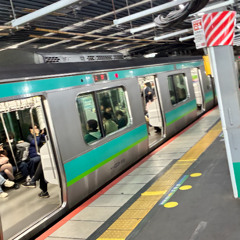 🆓WRIGGLED ZONE 松戸(没)