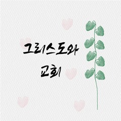 그리스도와 교회