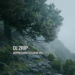 2rip - Depression Session Vol.1