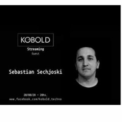 Kobold Streaming Guest - Sebastian Sechjoski