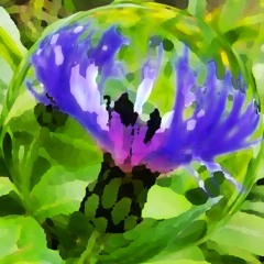 Gardens (Instrumental)