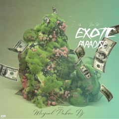EXOTIC PARADISE