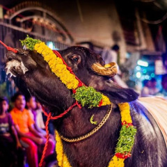 ERRA ERRANI SHAMULA KATU LADDU YADAV SONG MIX DJ SAI SHIVARAMPALLY