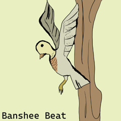 Animal Collective - Banshee Beat Cover by Taneda Version
