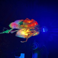 DEEPTROUT HOUSE - Boogie Down To Your Bones