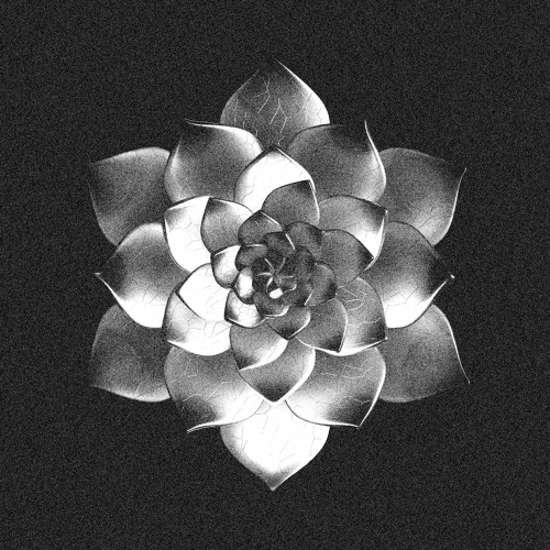 Premiere: Blazej Malinowski - Acid Theory