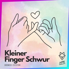 Kleiner Finger Schwur - Florian Künstler [APK Remix Cover]