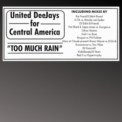 Too Much Rain (Marc et Claude pr. Bruce Wayne vs. DJ Errik Remix)