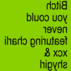 Bitch you could never featuring charli xcx & shygirl