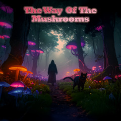 Lo-Fi Journey 12: Caminho dos Cogumelos 🍄 | Chill & Dreamwave Mix para Foco e Inspiração