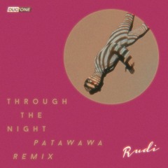 PREMIERE: Rudi ft Amanda Thomsen - Through the night (Patawawa Remix) [Duo-Tone]