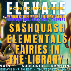 Fairies in the Library - ELEVATE Waking The Quantum Self
