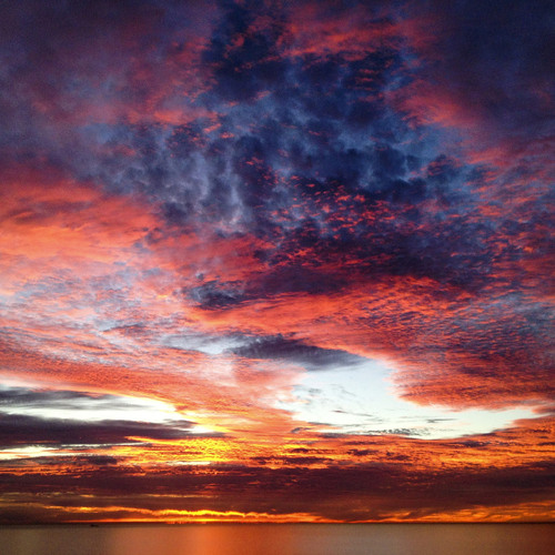 Di Young - Pixel Pig