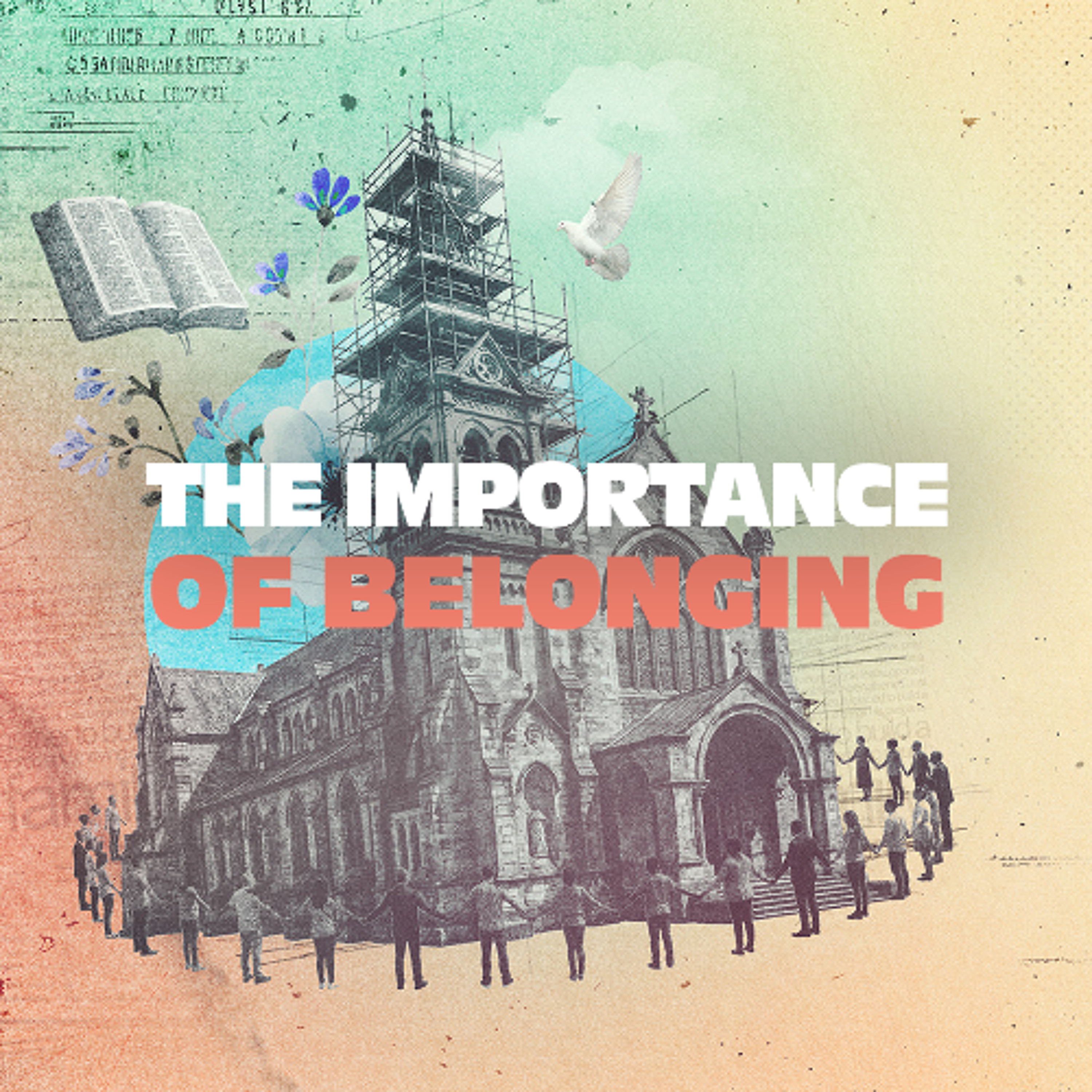 The Importance of Belonging - 04/26/26 episode artwork