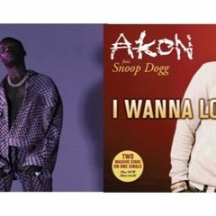 Akon x Snoop Dogg vs Wizkid - I Wanna Love a Balance (ZAZU Mashup)