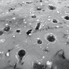 disquiet0511 - through zero