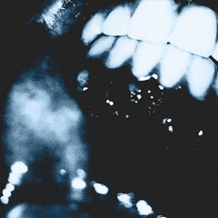 A DESPERATE LUNGE FOR LIFE: SUICIDE IN LOW FIDELITY