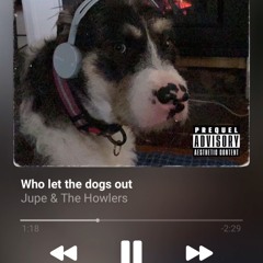 The Cat's Latest Recommended Soundcloud Listening (Aug '21)