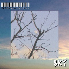 stereo.ashes - sky