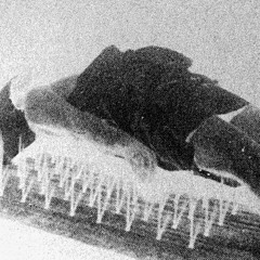 Spa tape (second mix)