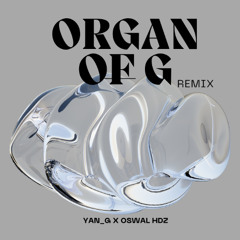 organ of g x house
