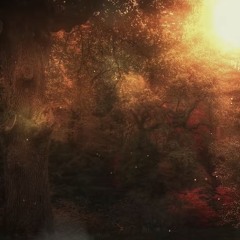 get betta (xen + balenci02)