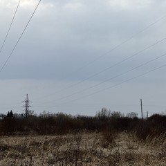 лучшие из лучших