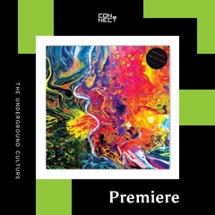 PREMIERE: Rico Puestel - Voluptuous Antics Enter The Hemisphere [Exhibition]