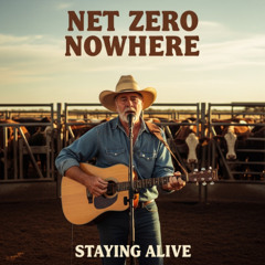 Net Zero Nowhere