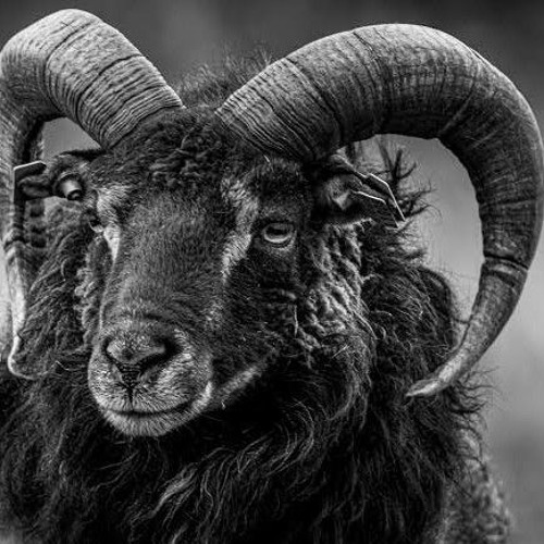 [Beat] Own Picture_-_prod-@masn_nsam.