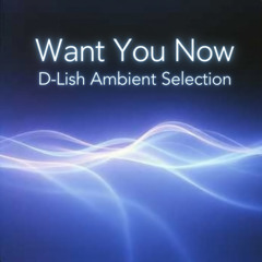 Want You Now - D-Lish Ambient Selection