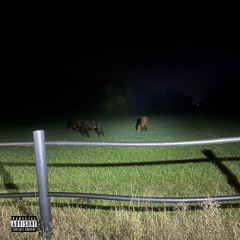 FUTURE (feat. AlexRecoy) (prod. 6astardcanrise)