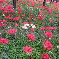 日常 hood 生活 "prod by hoshi"