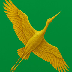 The Second Stork’s Golden Flight