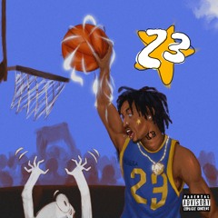 23