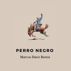 BAD BUNNY ft. FEID - PERRO NEGRO (House Remix)