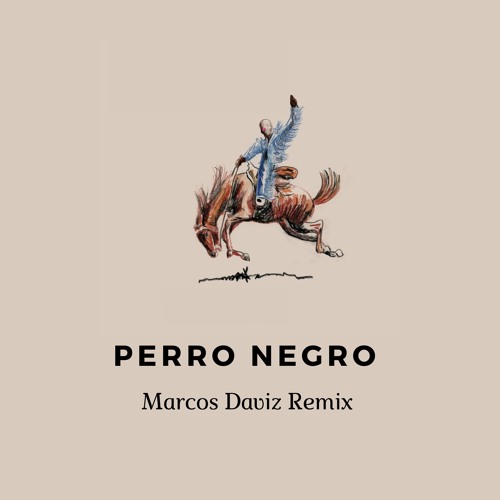 BAD BUNNY ft. FEID - PERRO NEGRO (House Remix)