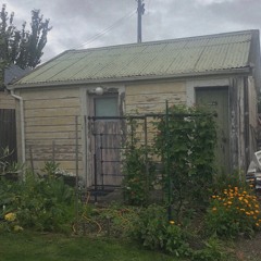 Pot Plants