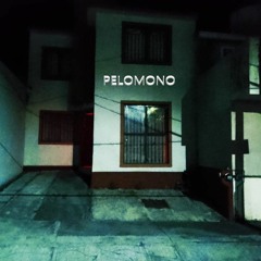 PELOMONO SINGLE