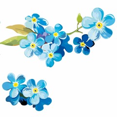 박상민 - 해바라기